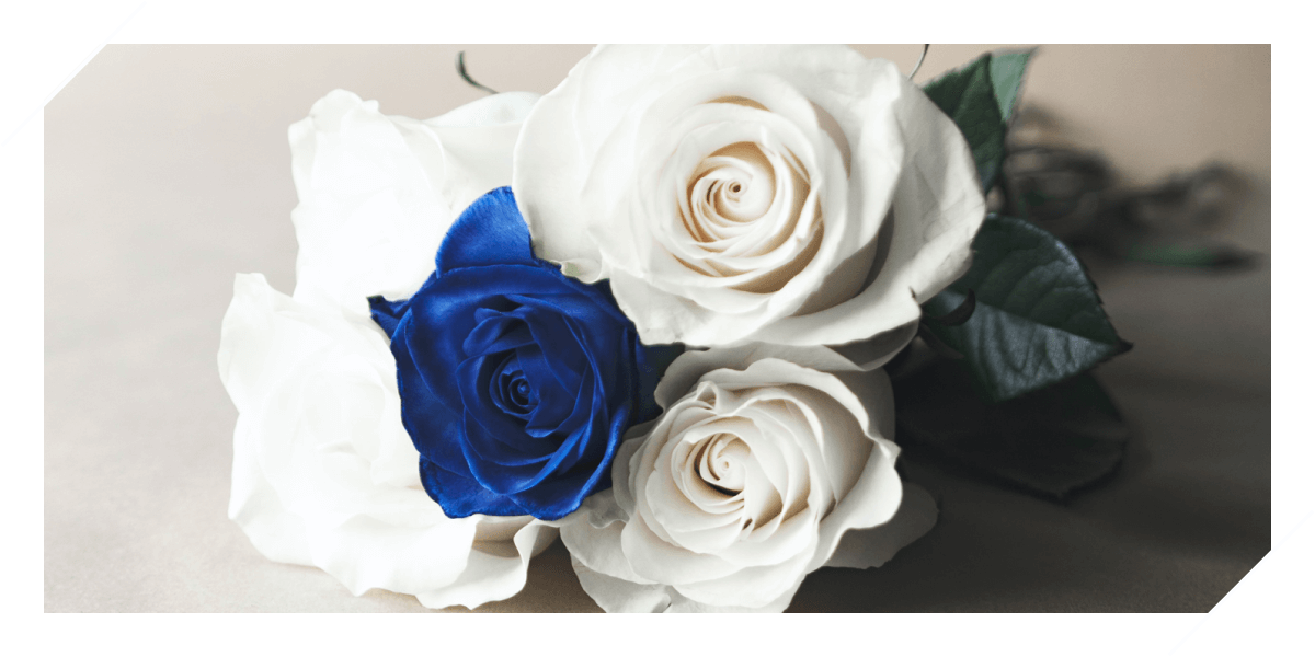 Blue.Rose（ブルーローズ）福岡 脱毛サロン